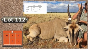 1X LIVINGSTONE ELAND M:1