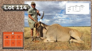 1X LIVINGSTONE ELAND M:1