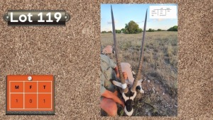 1X GEMSBOK M:1