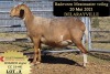 LOT 8 CC 18 0441 - COLLETT FARMING