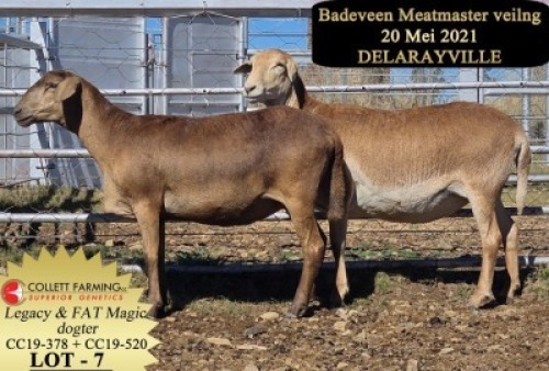 LOT 7B CC 19 0520 - &nbsp; COLLETT FARMING