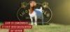 1X BOERGOAT STUD DOE SHONGOLOLO BOERBOKSTOET