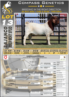 1X BOERGOAT FLOCK BUCK LAJANCO BOERBOKSTOET 2006