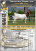 WITHDRAWN - 1X BOERGOAT DOE KOATI BOERGOAT STUD