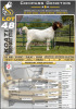 WITHDRAWN - 1X BOERGOAT DOE KOATI BOERGOAT STUD