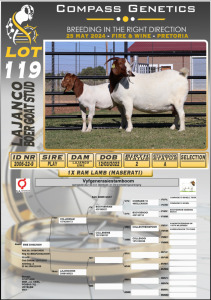 1X BOERGOAT STUD DOE LAJANCO BOERBOKSTOET 2006