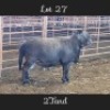 1X MEATMASTERS RAM DRIEKOP MEATMASTERS