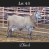1X MEATMASTERS RAM DRIEKOP MEATMASTERS