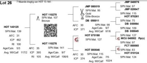 LOT 26 - HOT 140125 - FEMALE