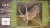 1X WATERBOK M:1