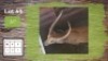 1X 26" LECHWE M:1