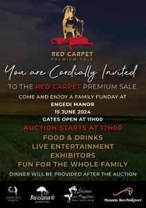 RED CARPET PREMIUM SALE INVITATION