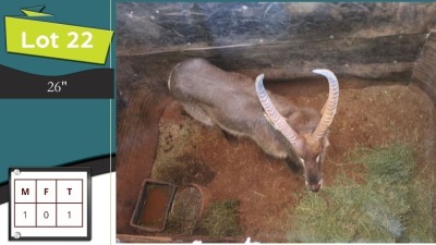 1X WATERBOK M:1