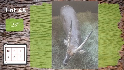 1X WATERBOK M:1