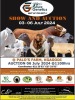 1+1X SIMMENTAL COW & CALF SEBATAKGOMO