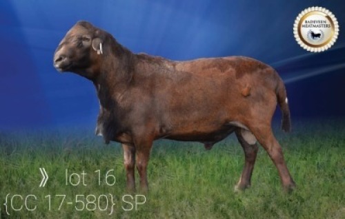 LOT 16 CC 17 0580 - &nbsp; BADEVEEN TRUST