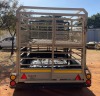 1X SHEEP / CATTLE TRAILER AFRICAN ELITE FARMING - WIAN NEL - 4