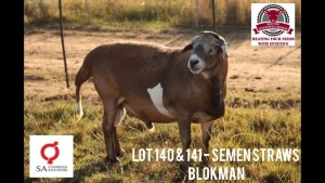 10X SEMEN KLUYTS LIVESTOCK FARMING