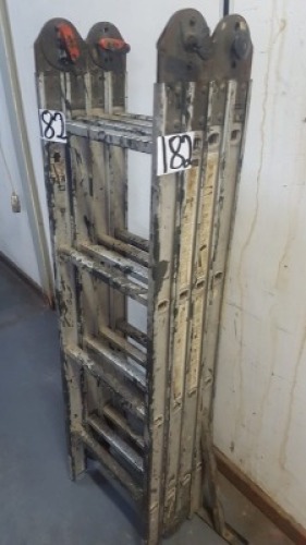 1 X LADDER