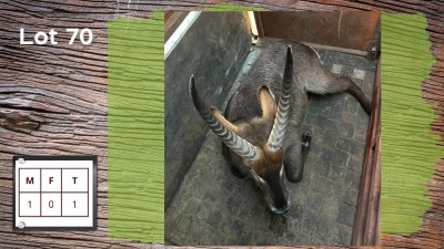 1X WATERBOK M:1