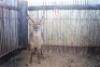 1X WATERBOK M:1