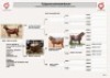 1X KALAHARI RED STUD 10-208 DOE KROKODILNEST - 2