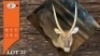 1X WATERBOK M:1