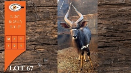1X NJALA M:1