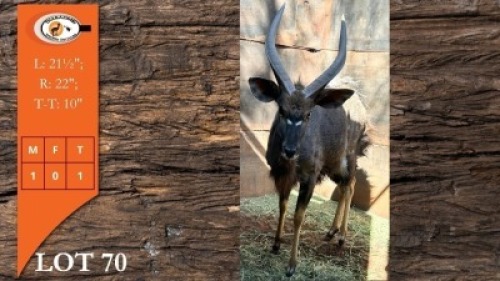 1X NJALA M:1