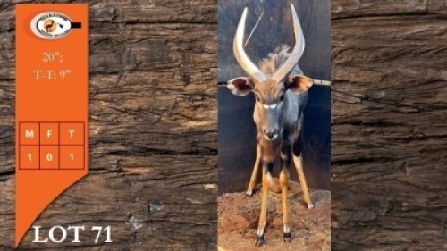 1X NJALA M:1