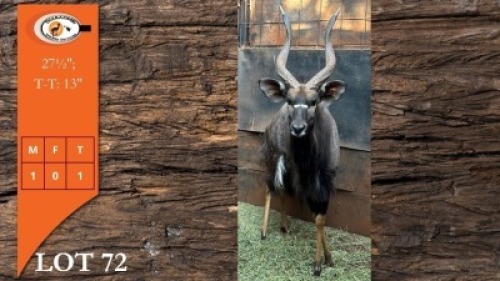 1X NJALA M:1