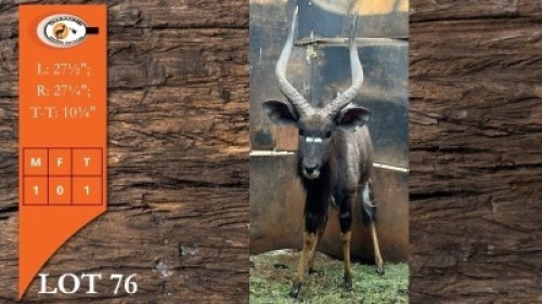 1X NJALA M:1