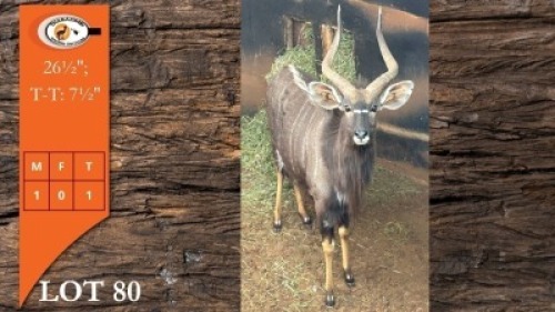 1X NJALA M:1