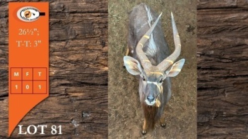 1X NJALA M:1