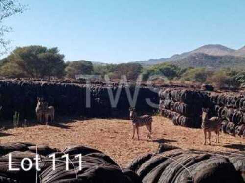 T: 3+1 x Sebra/Zebra Wesland Farming Cc (Pay per Piece to take the lot)