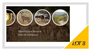 LOT 3 Kudu Cow, Impala Ewe, Blouwilde Beest Cow Including selfcatering Accomadation for 3-4 person 2 night weekend Erich Van Niekerk