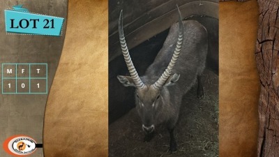 1X WATERBOK M:1