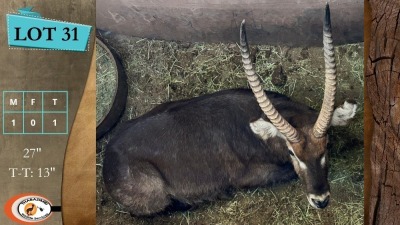 1X WATERBOK M:1