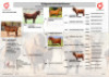 1X KALAHARI RED STUD 17-006 PREGNANT DOE REDSTAG RANCH - 2