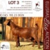 1X KALAHARI RED STUD 38-159 DOE SALMON VAN HUYSSTEEN BOER GOAT STUD