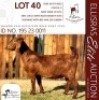 1X KALAHARI RED KUDDE 38-524 DOE SALMON VAN HUYSSTEEN BOER GOAT STUD