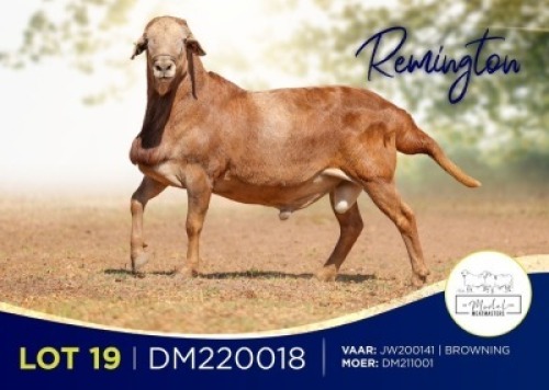 1X MEATMASTER RECORDED RAM MODEL MEATMASTERS
