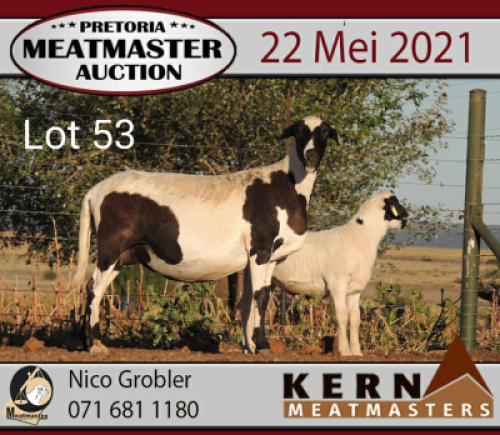 LOT 53 1+1 X MEATMASTER OOI KERN MEATMASTERS