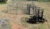 1X BEES WA - CORNE DU PLESSIS - 4