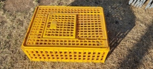 1X HOENDER KRAT - LIVESTOCK 88 84 PTY LTD