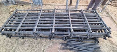 6X PLASIESE HEKKIES (PER ITEM) - LIVESTOCK 88 84 PTY LTD