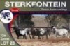 3+3X MEATMASTER EWE STERKFONTEIN MEATMASTERS - 3