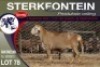 1X MEATMASTER RAM STERKFONTEIN MEATMASTERS - 2