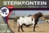 1X MEATMASTER RAM STERKFONTEIN MEATMASTERS