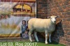LOT 53 OOI : ROS 20 00 - W.H. OOSTHUIZEN